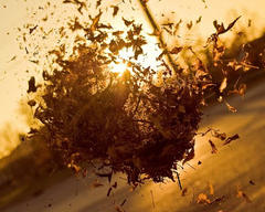 agriturismo il felcino offerta giovedi domenica