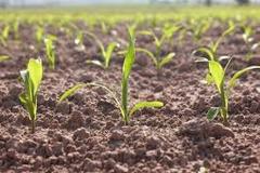 agriturismo il felcino offerta weekend