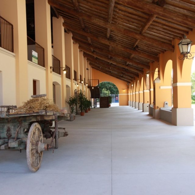Agriturismo Fenilnovo