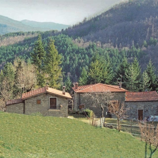 Agriturismo Casale Camalda