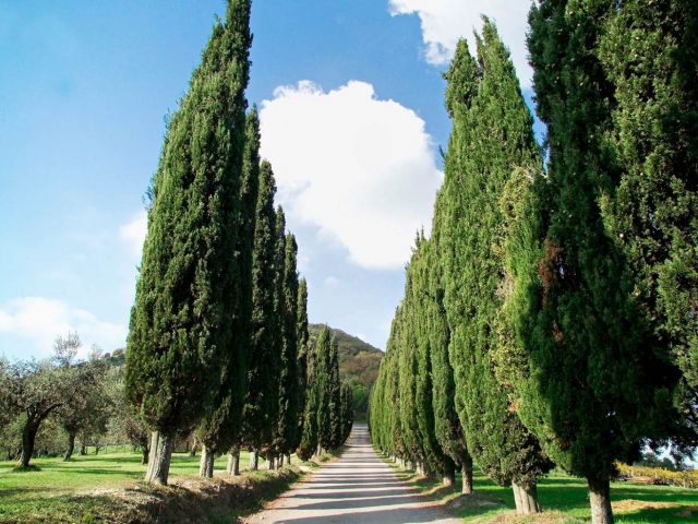 Agriturismo La Cerra