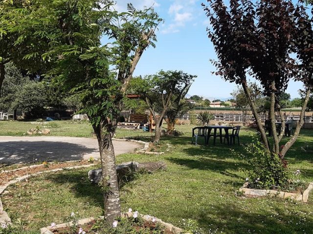 Agriturismo La Vecchia Quercia