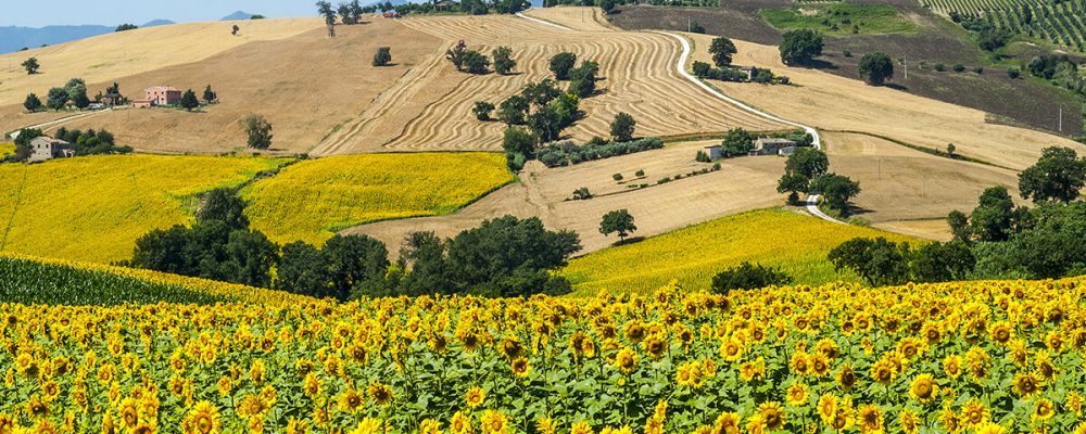 Il borgo di Cingoli è il balcone panoramico più romantico d’Italia