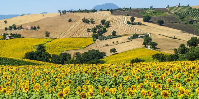 Il borgo di Cingoli è il balcone panoramico più romantico d’Italia