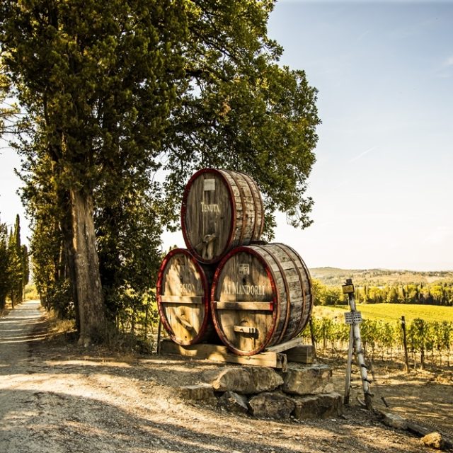 Agriturismo Poggio ai Mandorli