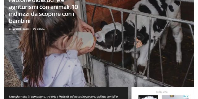 Fattorie didattiche e agriturismi con animali, 10 indirizzi da scoprire con i bambini