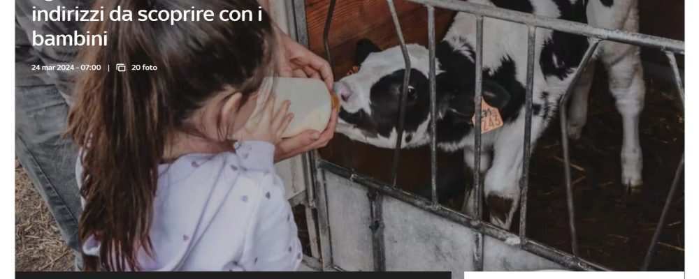 Fattorie didattiche e agriturismi con animali, 10 indirizzi da scoprire con i bambini